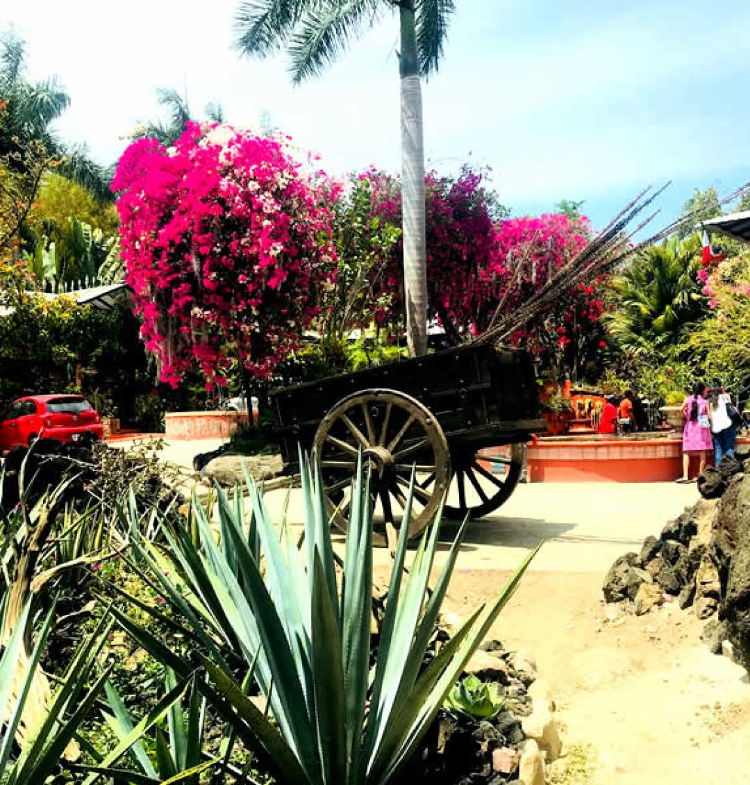 vallarta-touring-san-sebastian-del-oeste